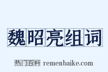 魏昭亮组词是什么意思的图片